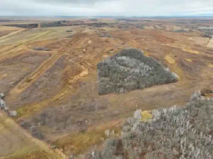 Buy 300 Acres Land Near Lundar with Creek and Development Potential