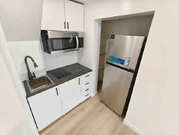 Newly Renovated Bachelor Apartment Finch & Pharmacy