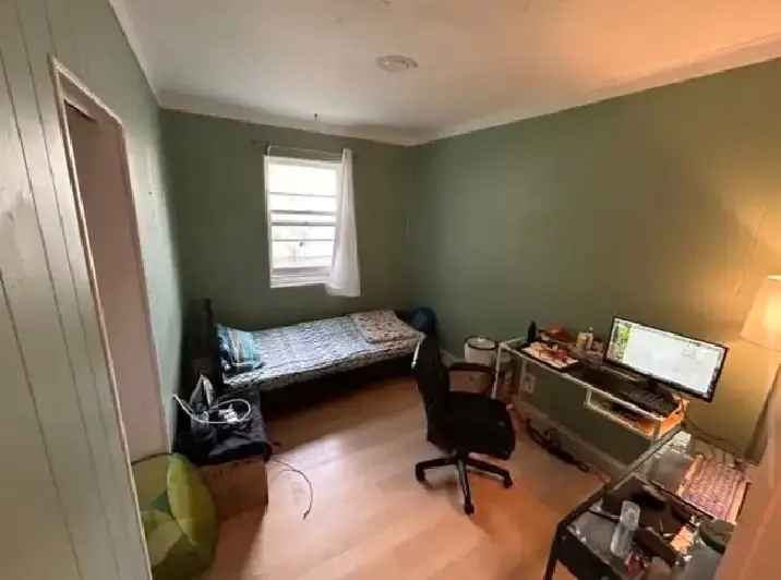 Uptown Toronto Room for Rent ( Younge/Sheppard)