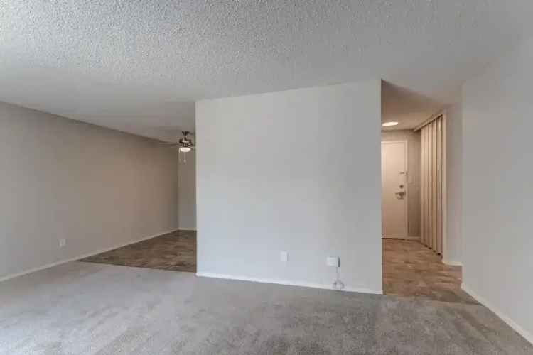 11615 28 Avenue NW -  in Edmonton