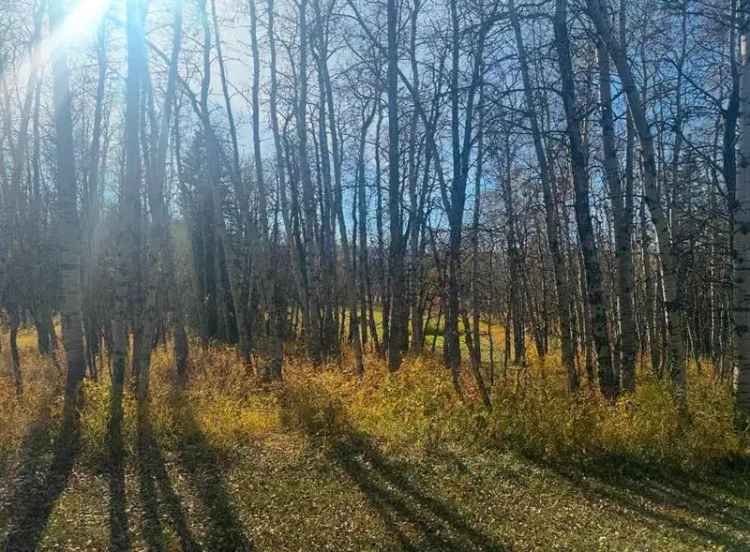 3.45-Acre Property Near Calgary - Horses Welcome