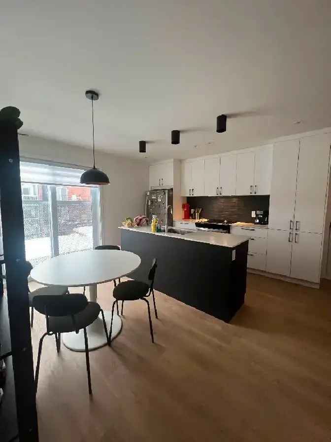 Rent 3 1/2 Apartment in Verdun with Rooftop and Near Amenities