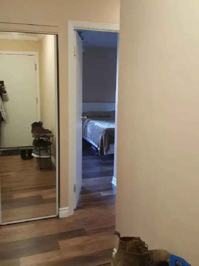 1 bdr in downtown all incl for $1600 for January 15th or Feb 1