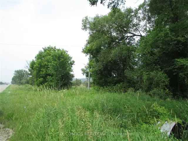 8.28 Acres Vacant Land East Gwillimbury Dream Home Opportunity