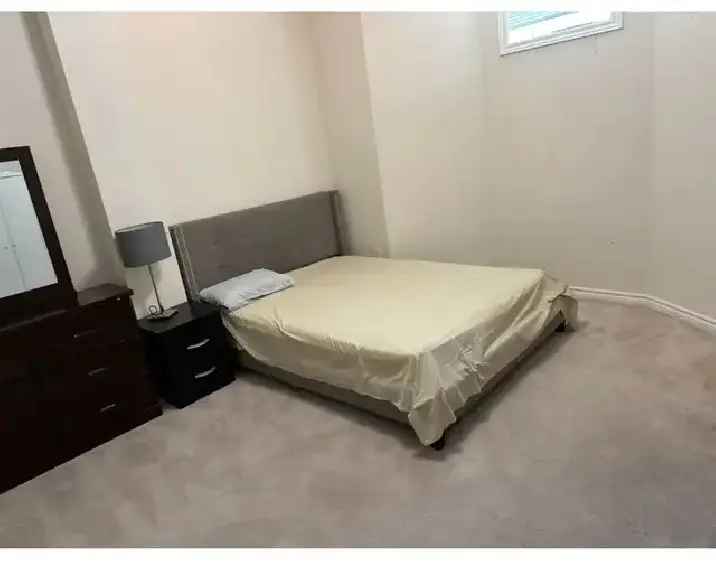 clean basement room for rent