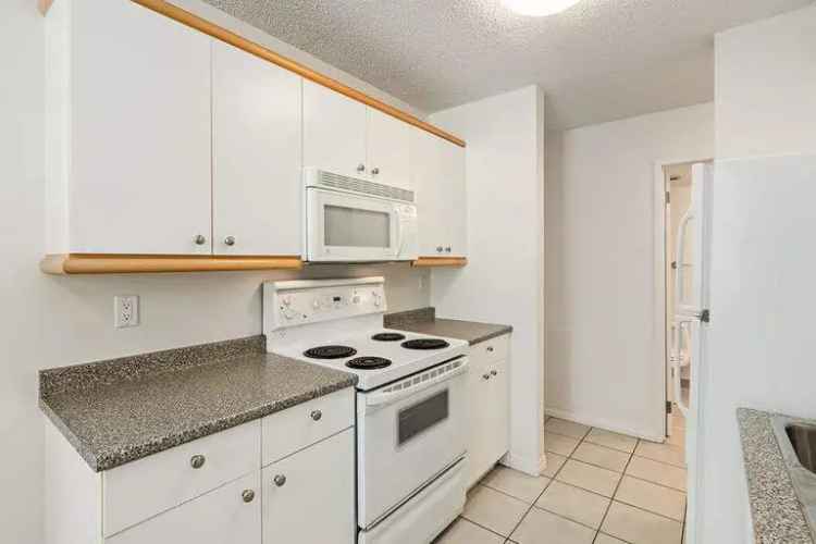 Rent Apartment in Calgary with City Views and Pet Friendly Features