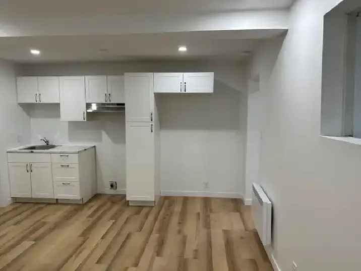 Rent 3 1/2 Apartment in Mercier Rosemont with Modern Renovations