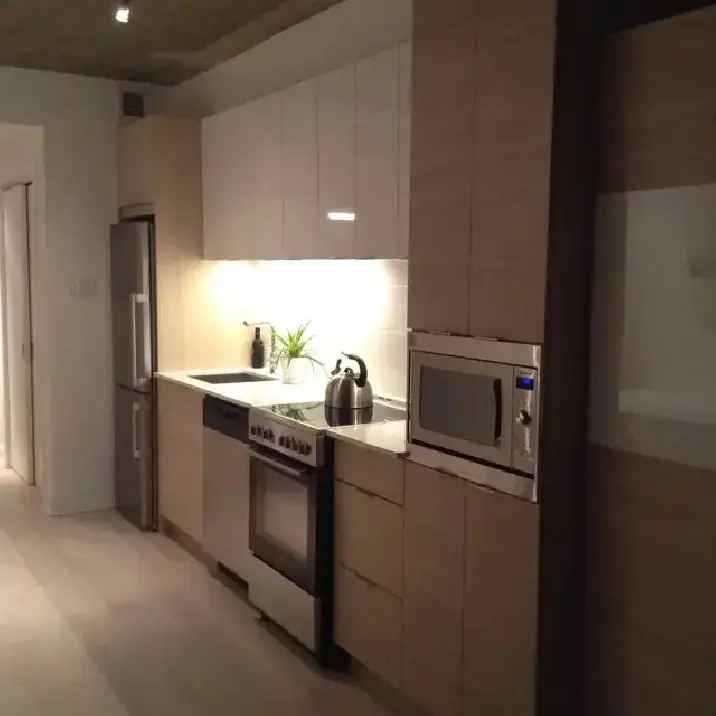 Downtown Montreal Condo Studio Rental July 1 2025