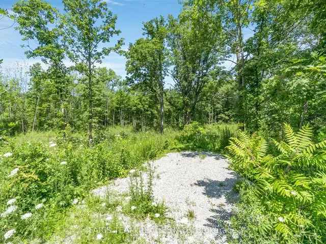 6.57-Acre Lot Ready for Spring Build - VTB Mortgage Option Available