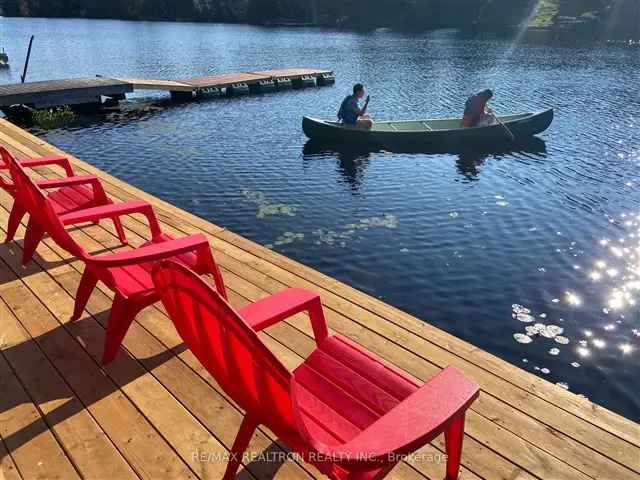 Algonquin Park Waterfront Cottage 4BR 2BA Family Getaway