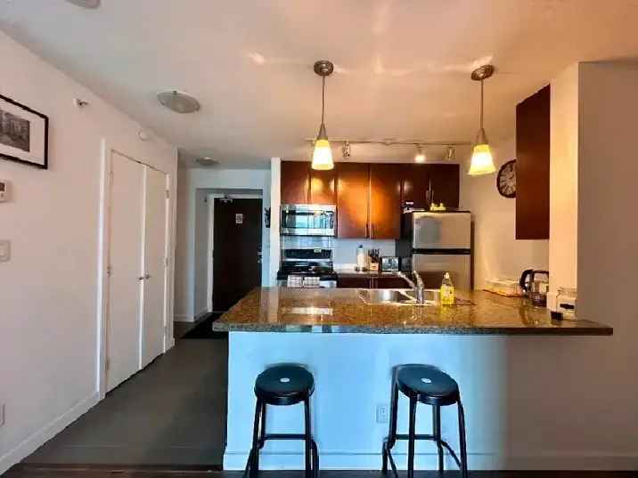 Bright Room for Rent - Downtown