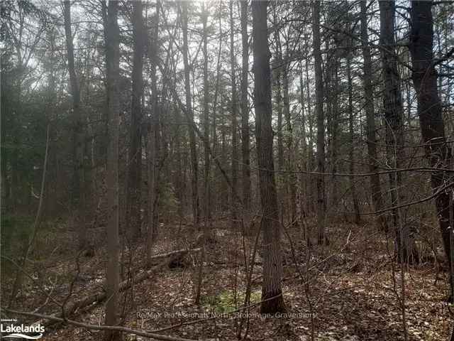 Land For Sale in Gravenhurst, Ontario