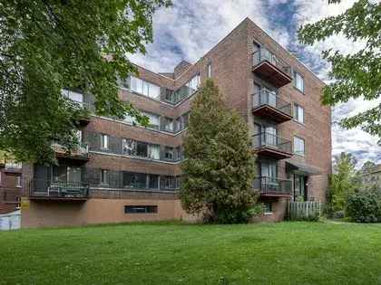 1 room apartment of 53 m² in Montreal