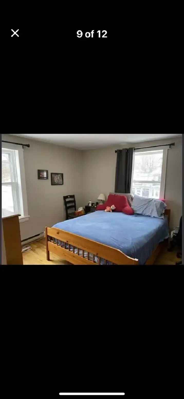 1 bedroom apartment downtown