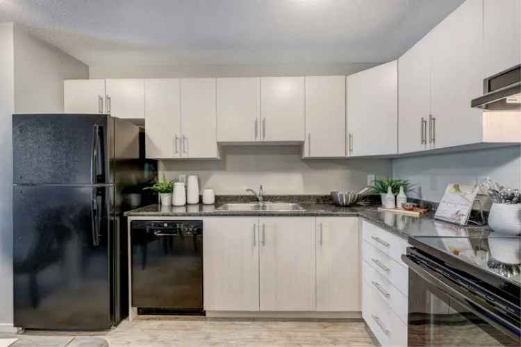 Rent 1 2 or 3 Bedroom Pet Friendly Apartments in Brandon with Amenities