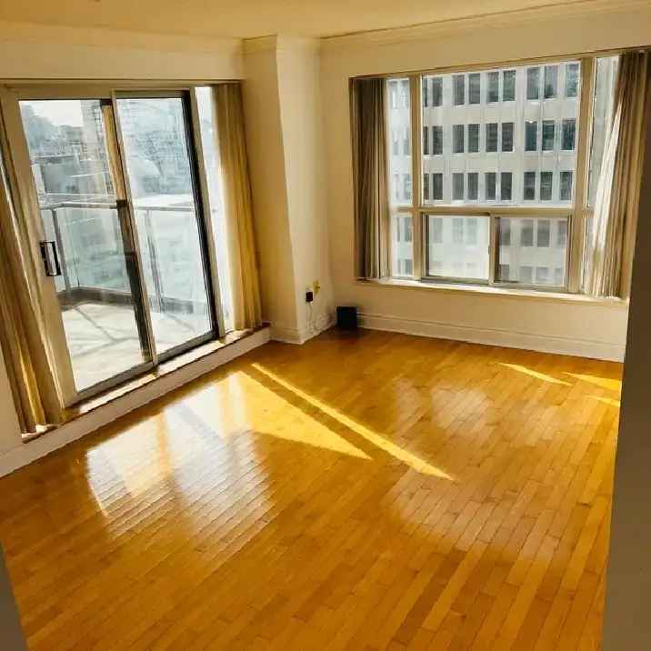 Bright Corner Condo 1 BR 1 Bath Parking Locker Amazing View