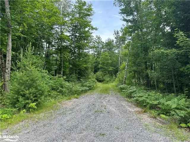 4.4-Acre Property Perfect for Dream Home - Snowmobile Trails and Beach Access