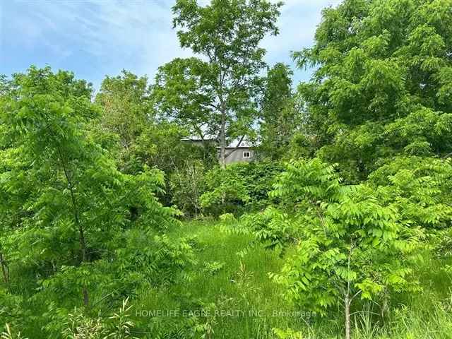 Land For Sale in Brock, Ontario