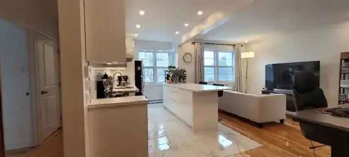 3 1 2 Condo Style Apartment in Rosemont