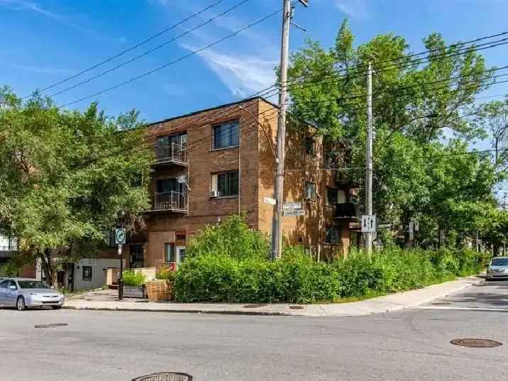 4 1/2 Fully renovated in CDN/NDG