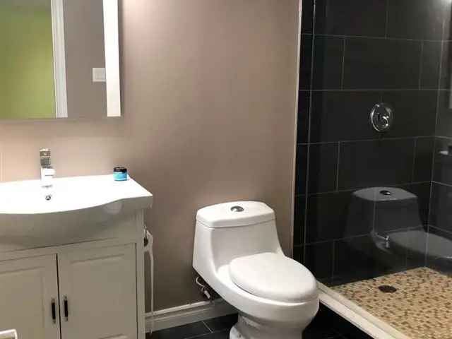 Fully Renovated Basement Near Amenities