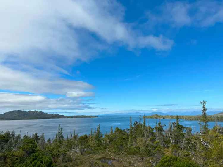 Large Oceanfront, Treed Acreage - North Coast - Porcher Island