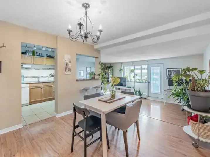 Beautiful, Spacious 3 Bedroom Apartment For Rent In Mississauga