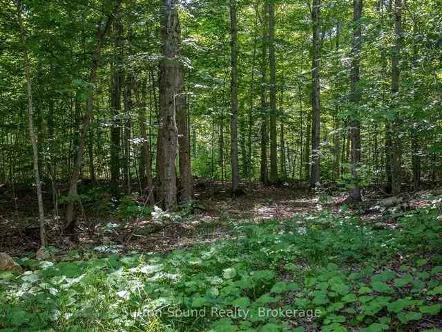 1 Acre Building Lot with Lake Access and Snowmobile Trails