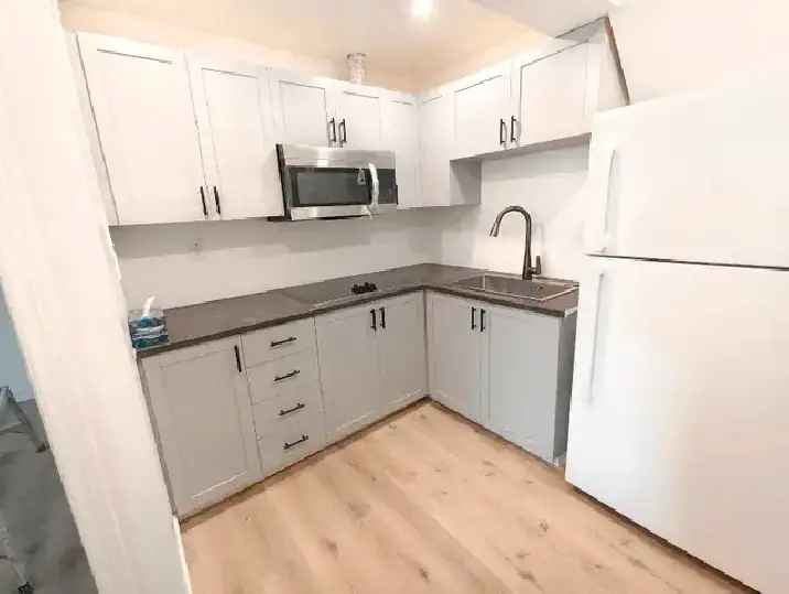Newly Renovated Bachelor Apartment Finch & Pharmacy