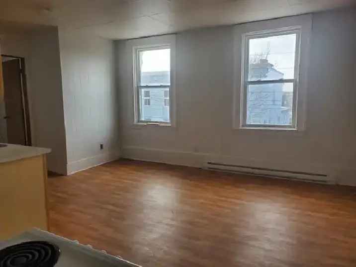 Downtown 1 Bedroom Apartment Available April 1st