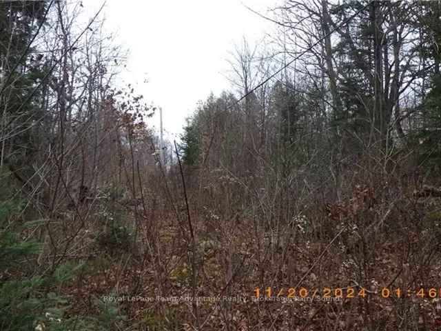 Land For Sale in Whitestone, Ontario