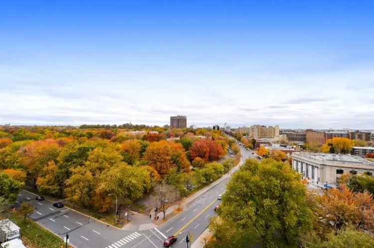 Spacious Apartments near Parc Lafontaine Montreal