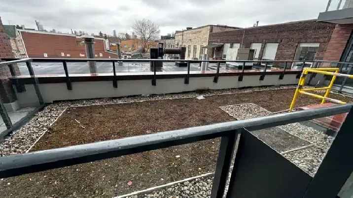 1 Bedroom Condo for Rent near Trinity Bellwoods Park