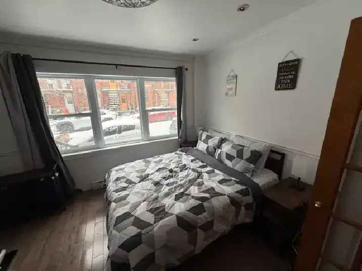 Plateau Mont Royal Spacious 2 1/2 Renovated
