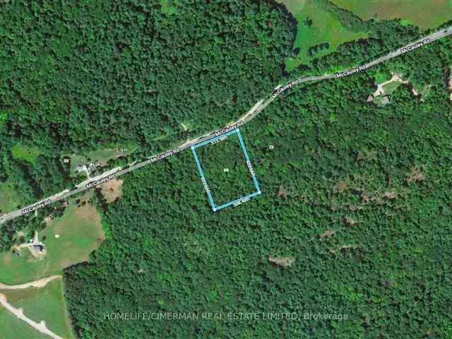 3 Acre Wooded Lot near Rosseau - Muskoka Getaway