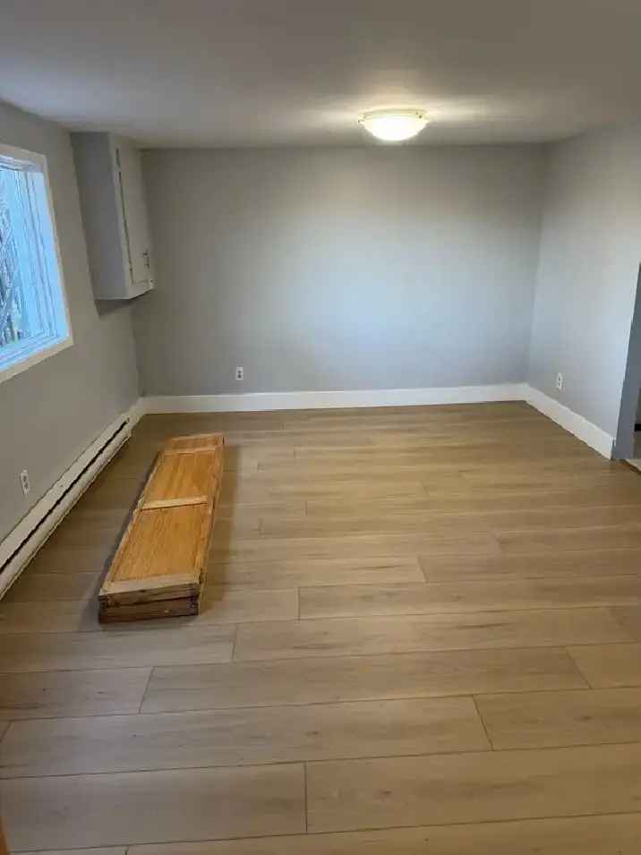 220 Woodbridge St ( 3 Bedrooms fully renovated)