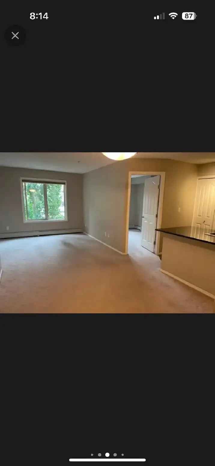 Airdrie 2 bedroom condo ALL UTILITIES!