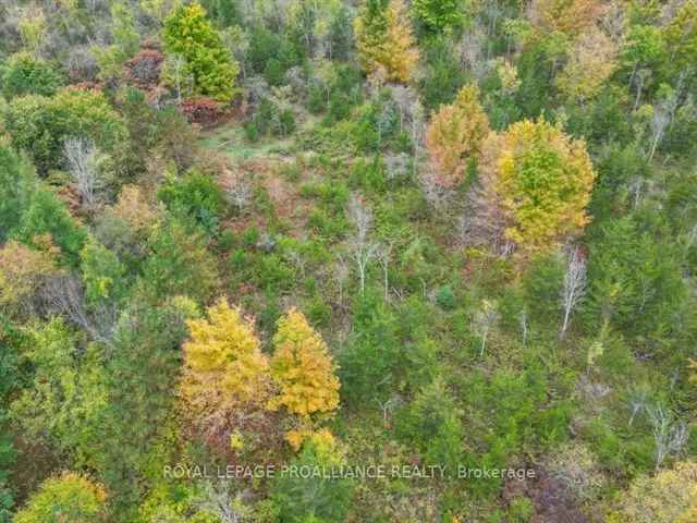 Land For Sale in Tweed, Ontario