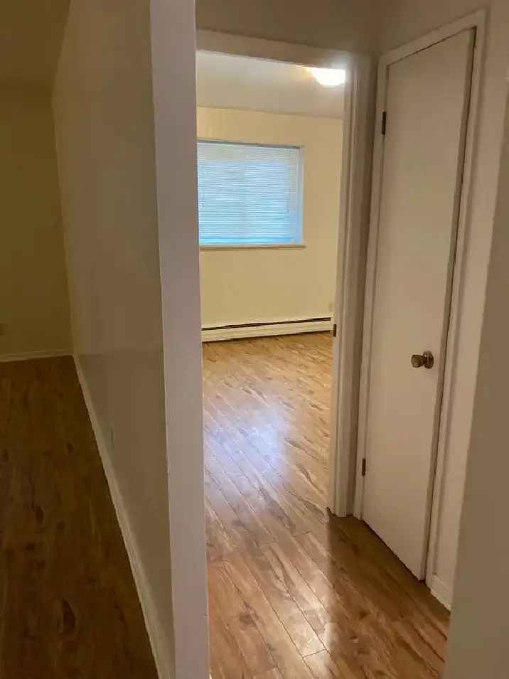 ELMWOOD AREA  LARGE 1 BEDROOM