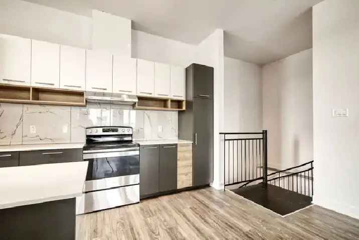 Rent Renovated Penthouse Apartment in Ahuntsic Montreal with City Views