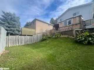 Allandale Family Home 3 Bed 2 Bath Updated Kitchen