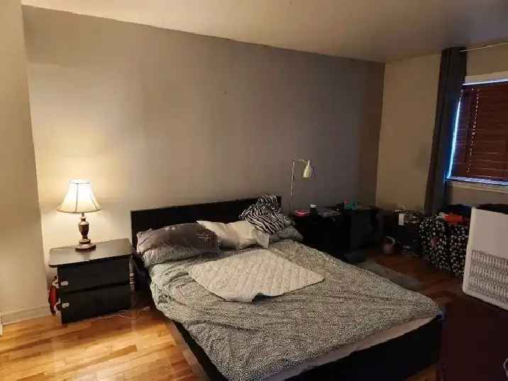 Cozy 2 Bedroom Apartment Maisonneuve Near Metro
