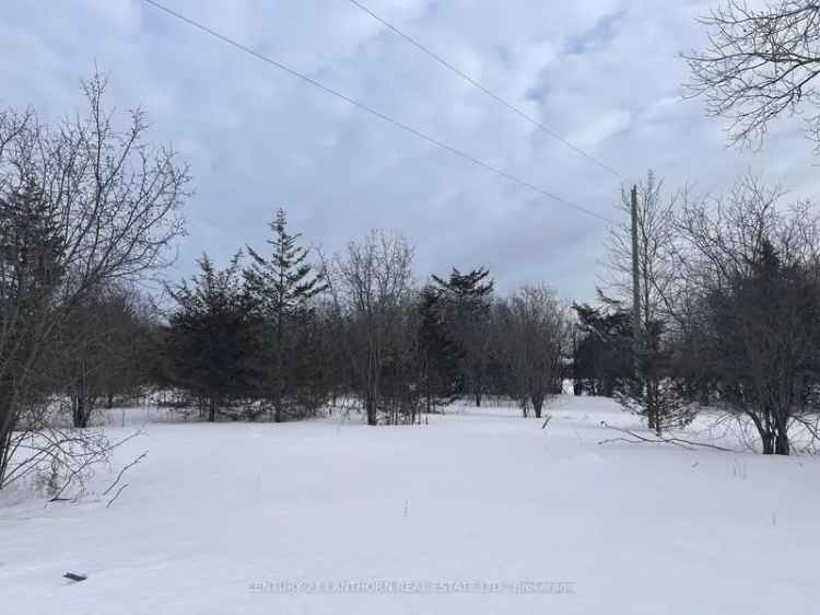 3-Acre Lot in Prince Edward County - Build Your Dream Home