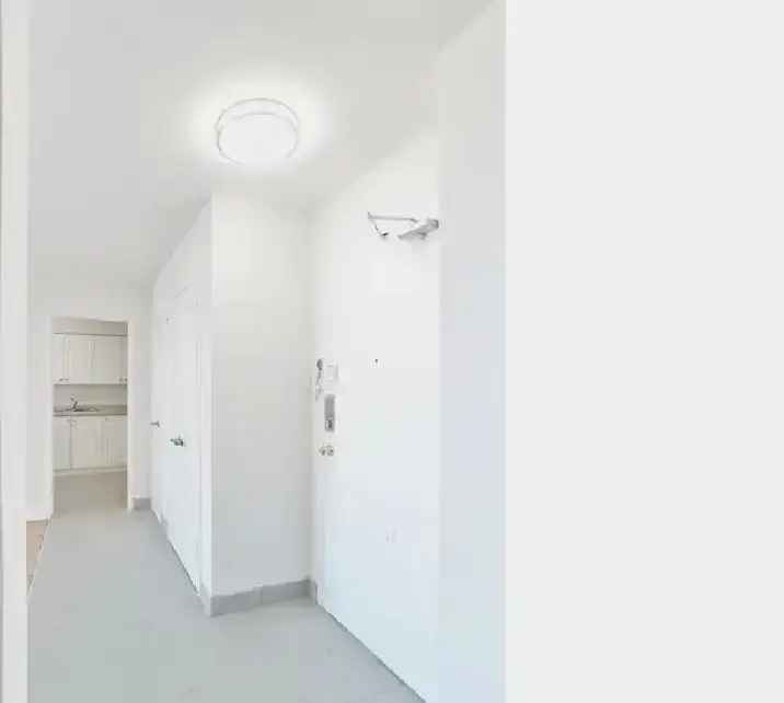 1 BED - RENOVATED - 10 Teesdale Place