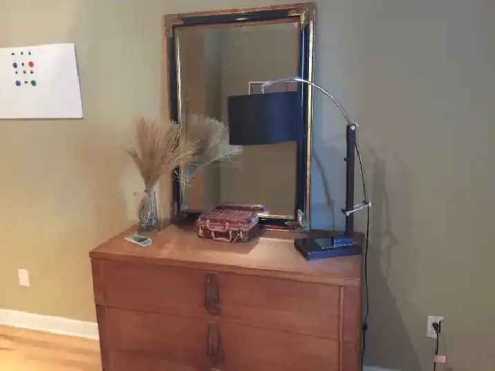 Furnished Room in Condo Near UQAM McGill Concordia