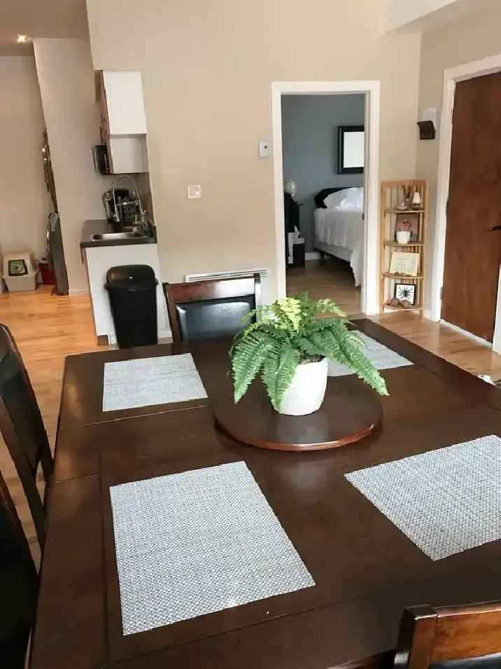 Spacious 4 1/2 Rosemont Condo Loft Near Beaubien Park