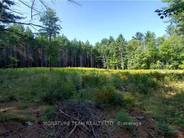 Build Ready Lot - Almost 1 Acre - Private Yet Convenient