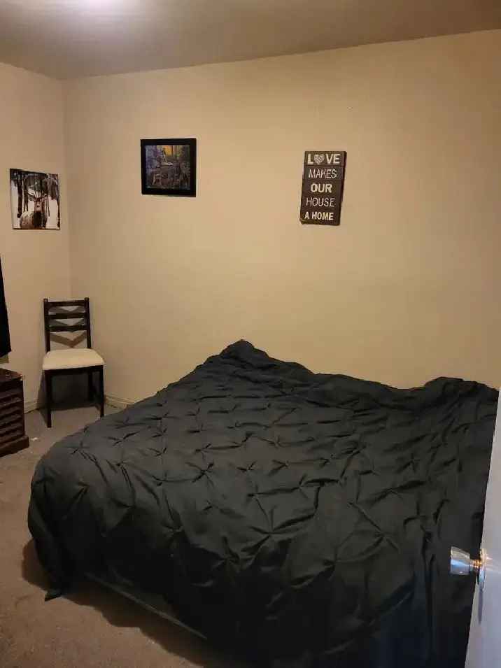 room for rent
