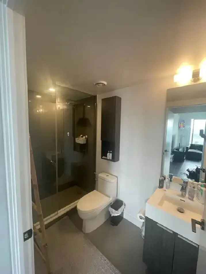 1 Bed 1 Bath Condo in Distillery District - Shared Bathroom