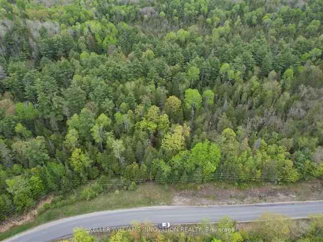 Lanark Highlands Retreat 4-Acre Nature Escape